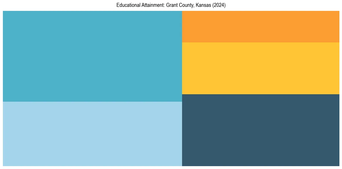 Education Treemap for  in 2024