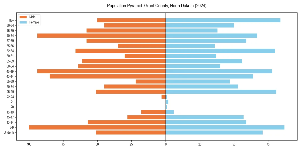 Population pyramid for 