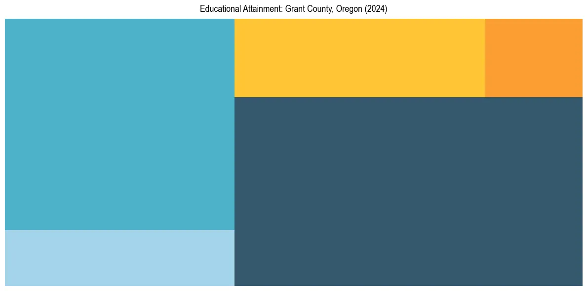 Education Treemap for  in 2024