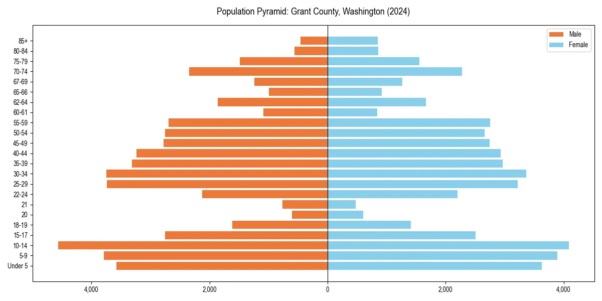 Population pyramid for 