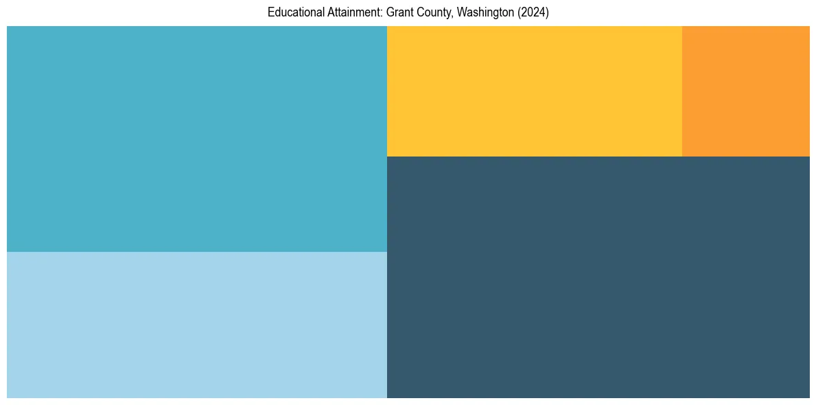 Education Treemap for  in 2024