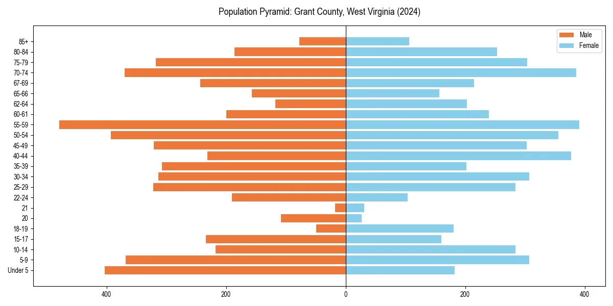 Population pyramid for 