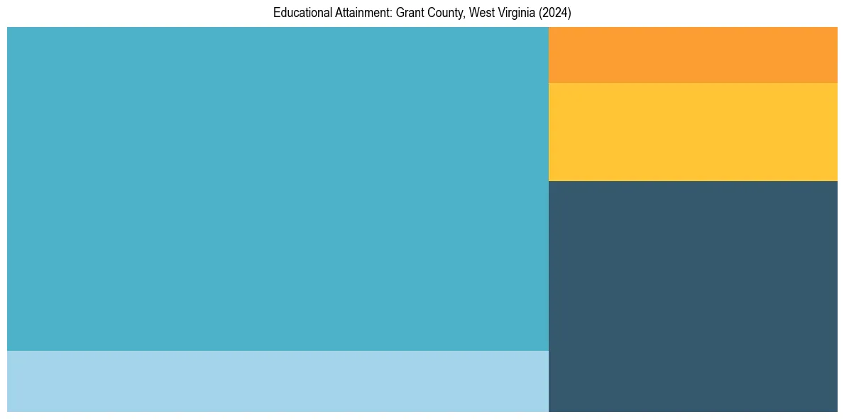 Education Treemap for  in 2024