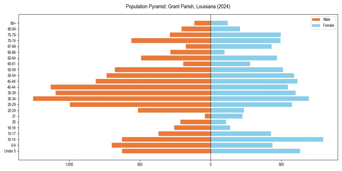 Population pyramid for 