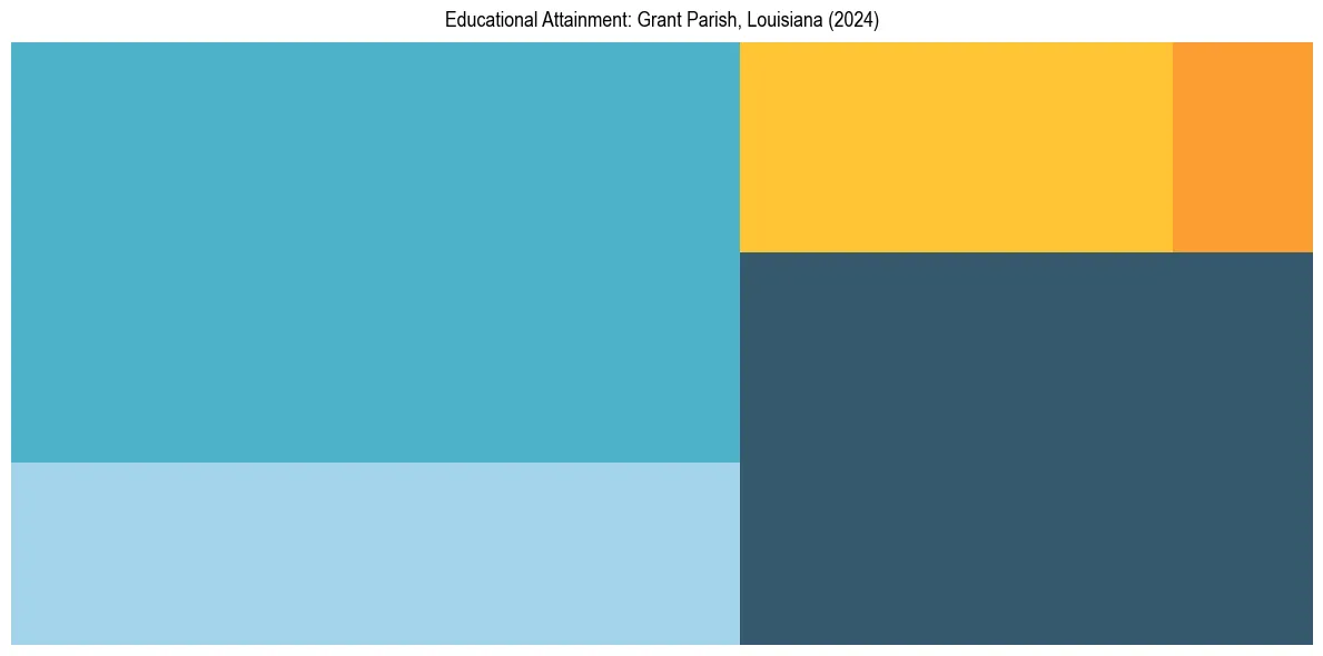 Education Treemap for  in 2024