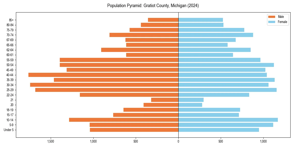 Population pyramid for 