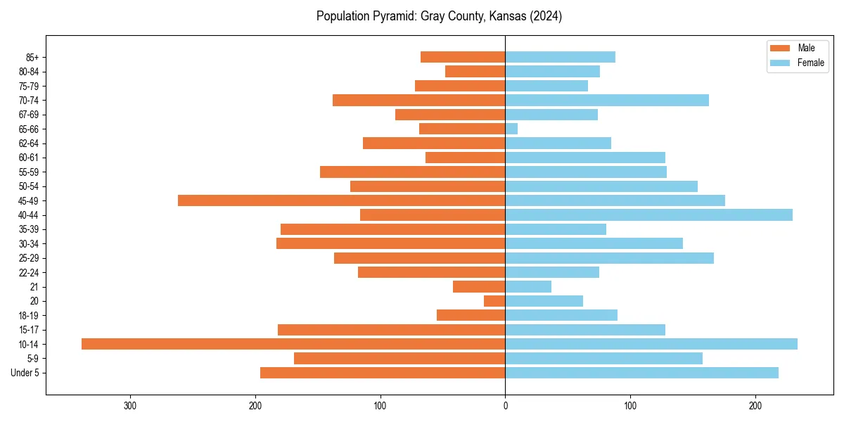 Population pyramid for 