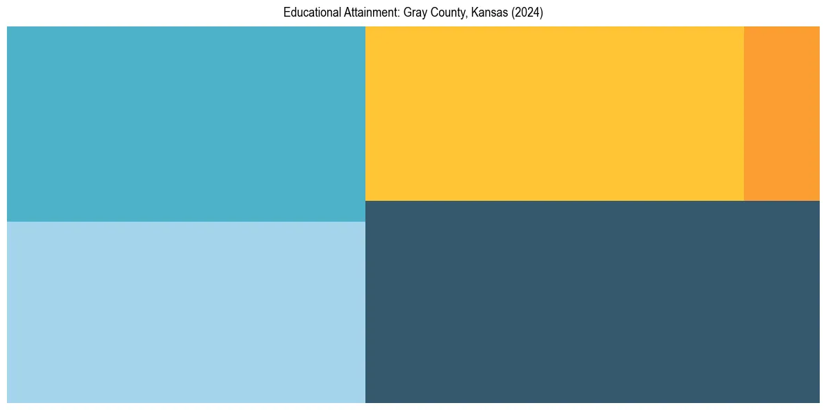 Education Treemap for  in 2024