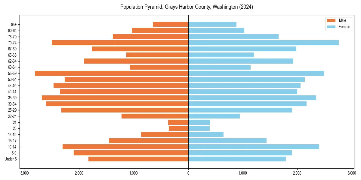 Population pyramid for 