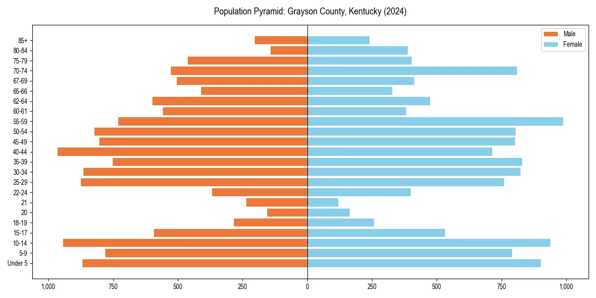 Population pyramid for 