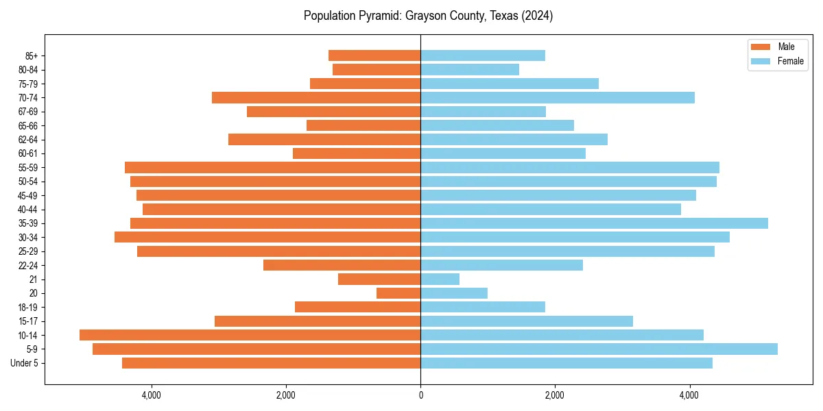 Population pyramid for 