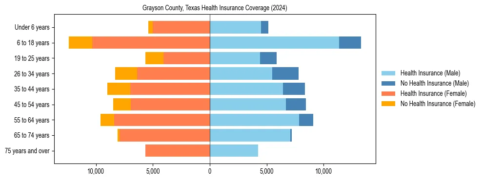 Health insurance pyramid for Grayson County, Texas