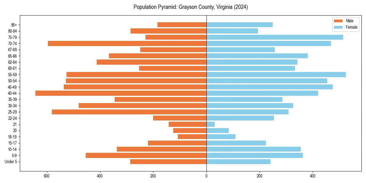 Population pyramid for 