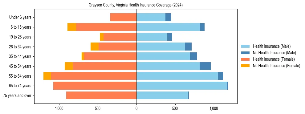 Health insurance pyramid for Grayson County, Virginia
