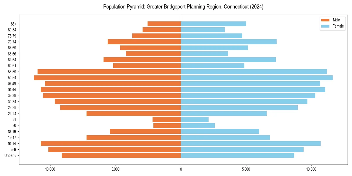 Population pyramid for 