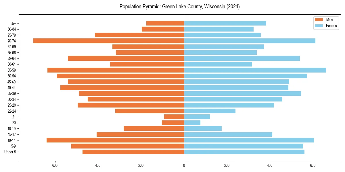 Population pyramid for 