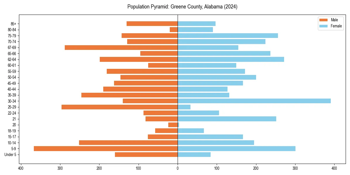 Population pyramid for 