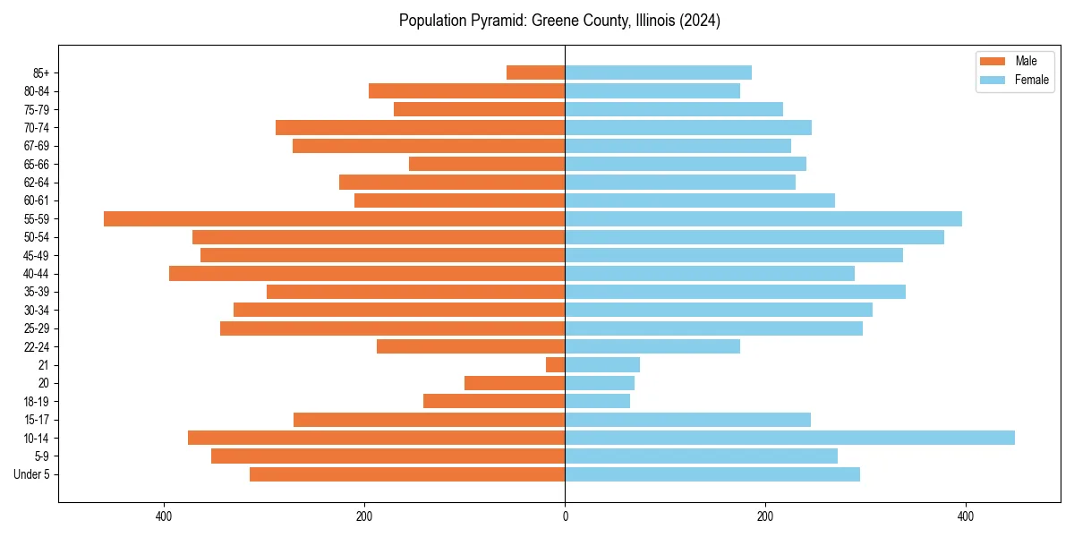 Population pyramid for 