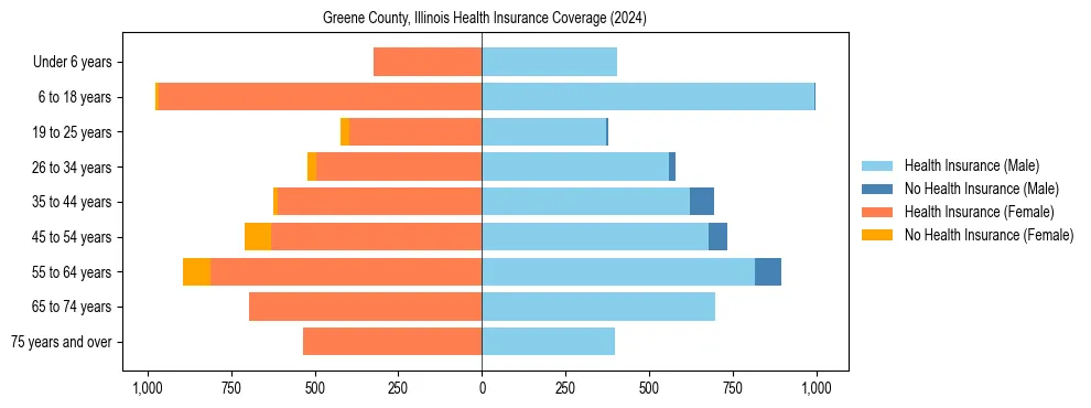 Health insurance pyramid for Greene County, Illinois