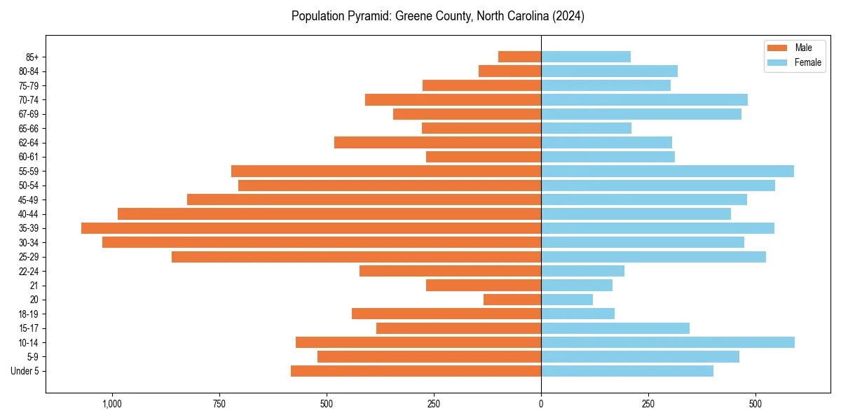 Population pyramid for 