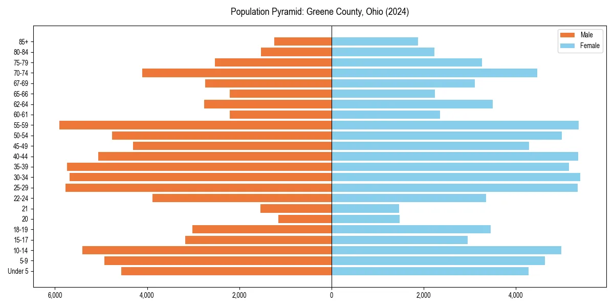 Population pyramid for 