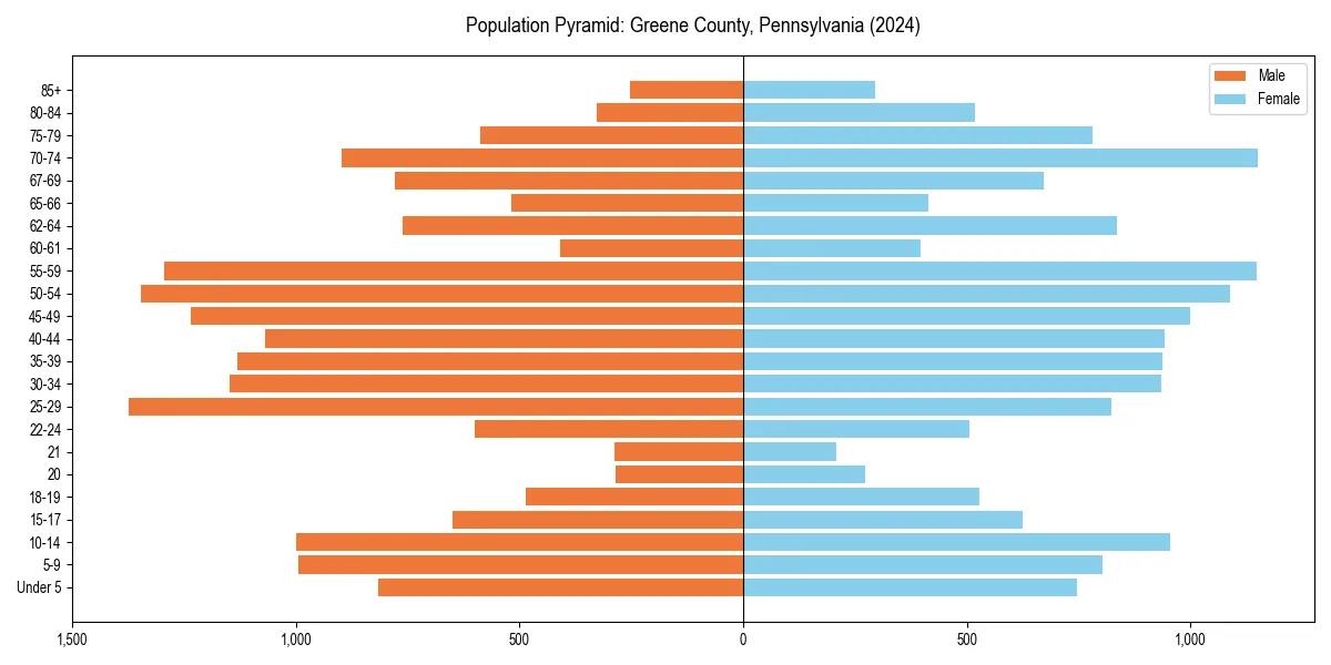 Population pyramid for 