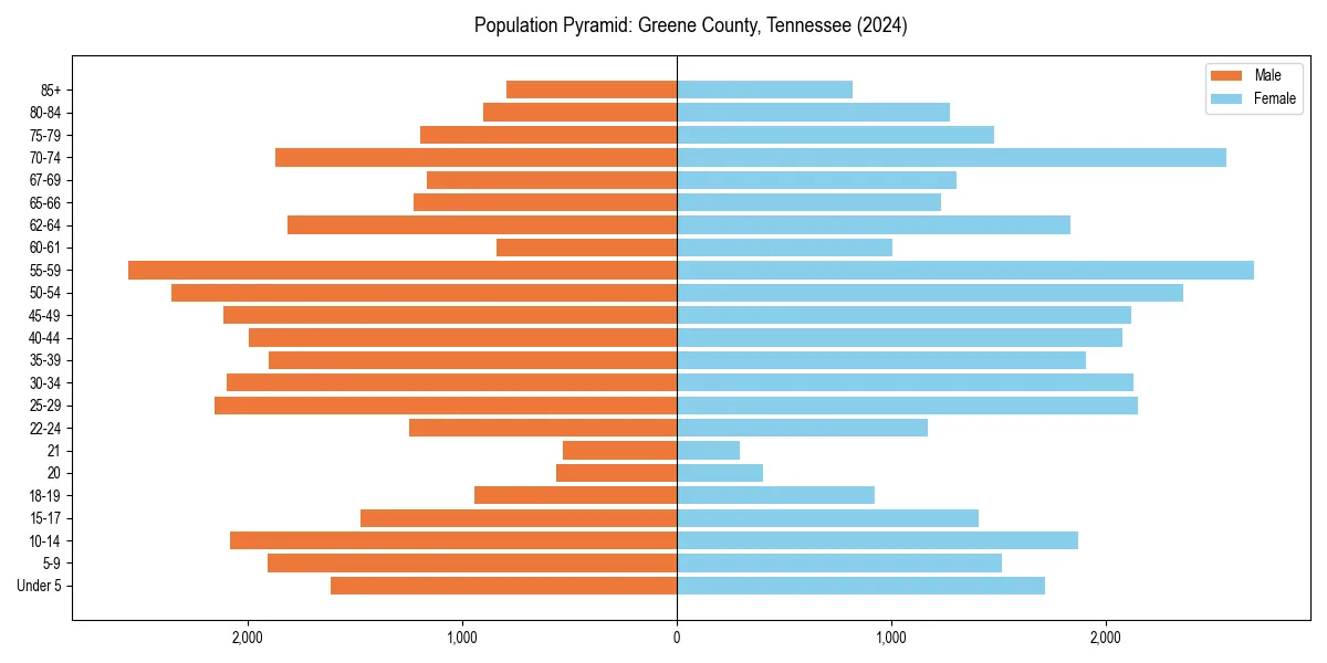 Population pyramid for 