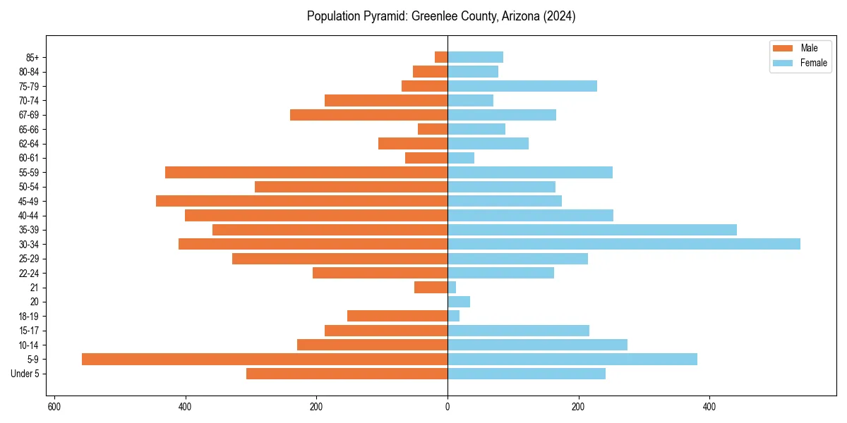 Population pyramid for 
