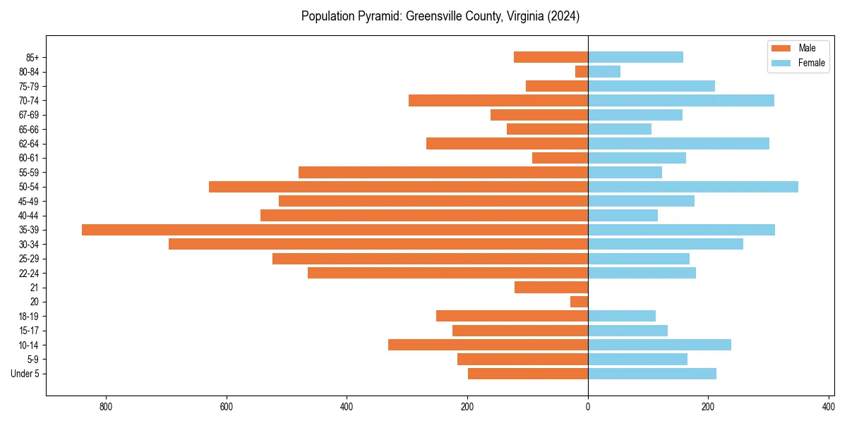 Population pyramid for 