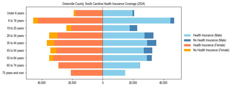 Health insurance pyramid for Greenville County, South Carolina