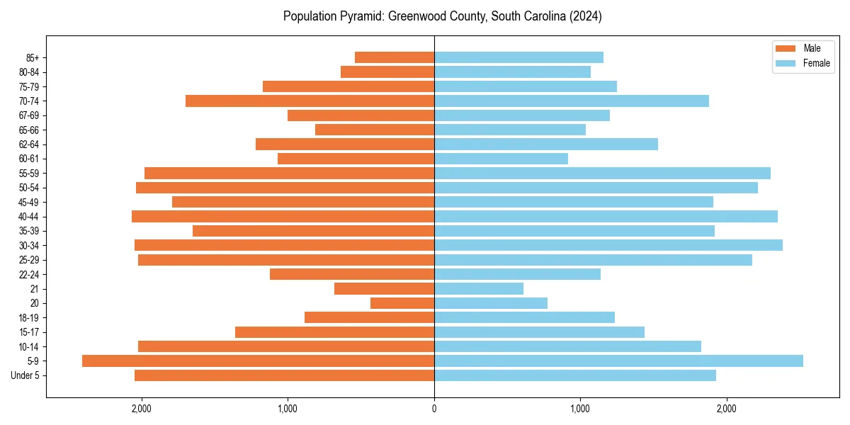 Population pyramid for 