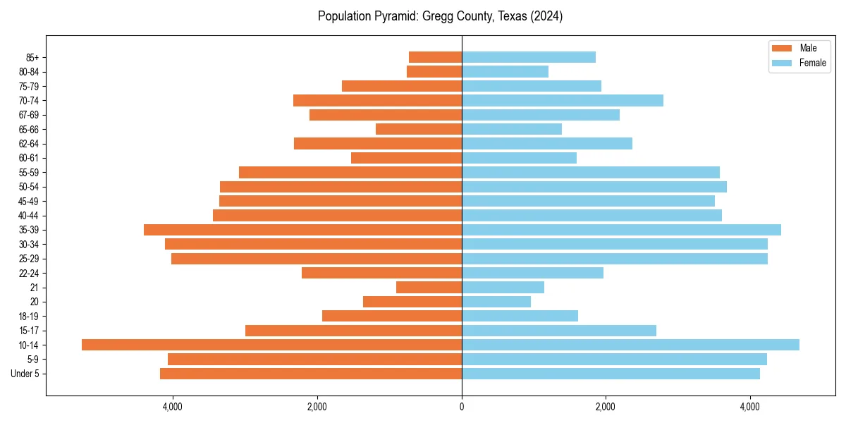 Population pyramid for 