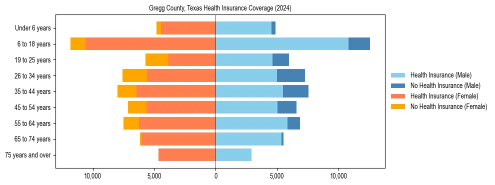 Health insurance pyramid for Gregg County, Texas