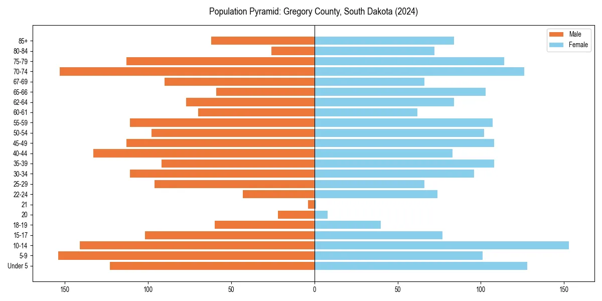 Population pyramid for 