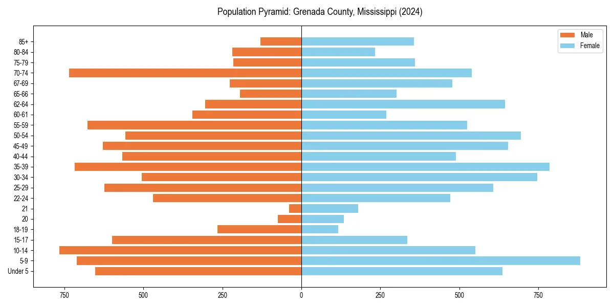 Population pyramid for 
