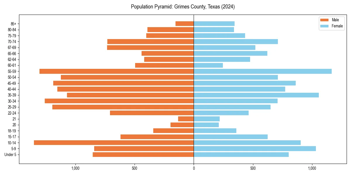 Population pyramid for 