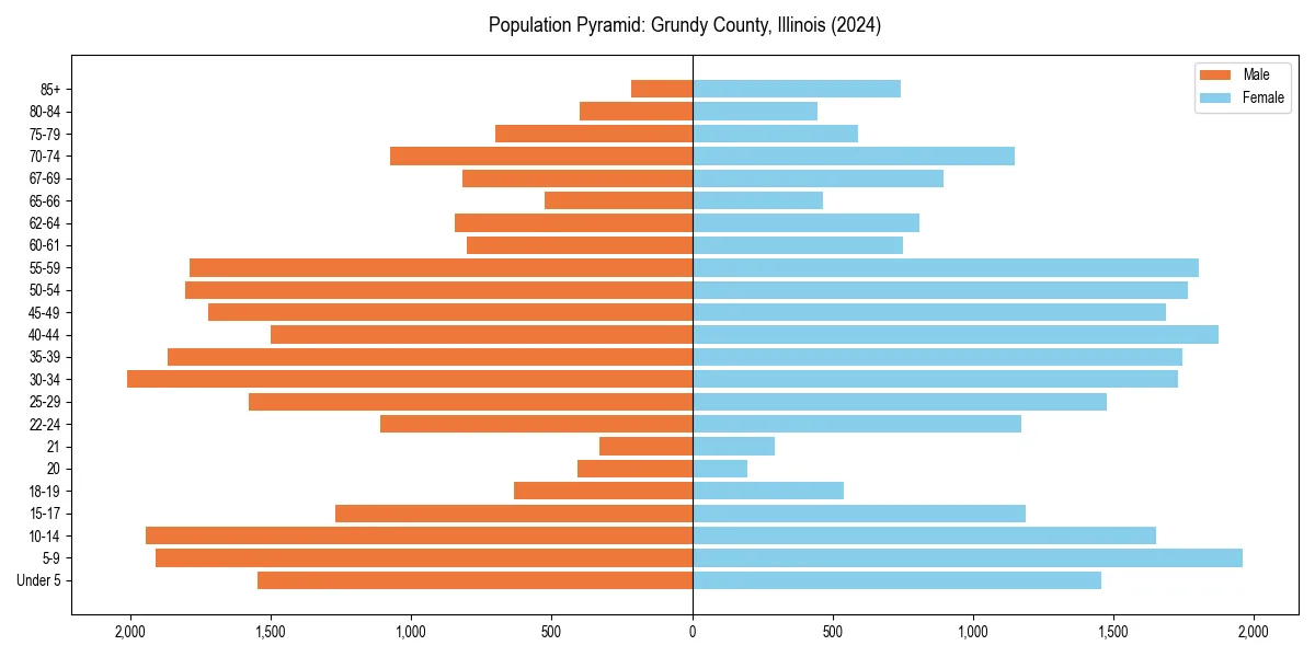 Population pyramid for 