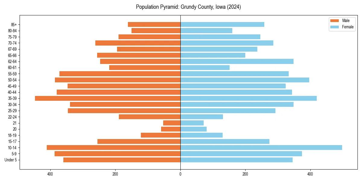 Population pyramid for 
