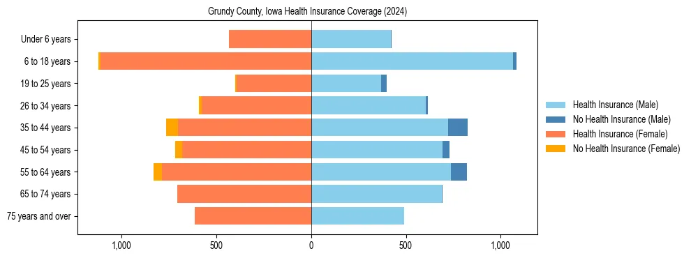 Health insurance pyramid for Grundy County, Iowa