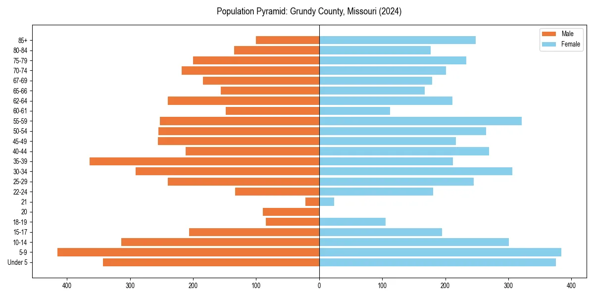 Population pyramid for 
