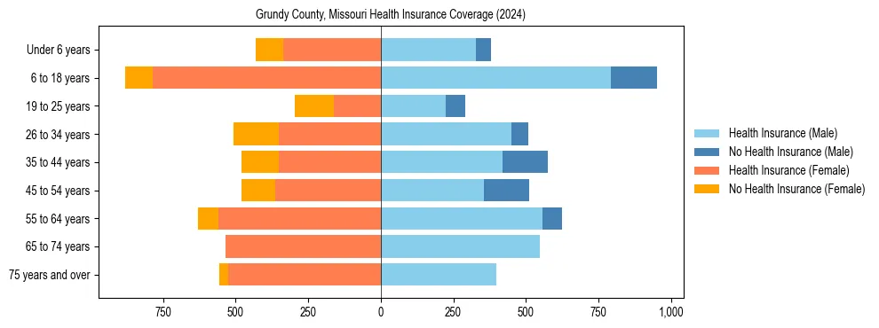 Health insurance pyramid for Grundy County, Missouri