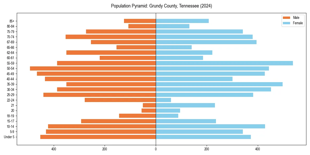 Population pyramid for 