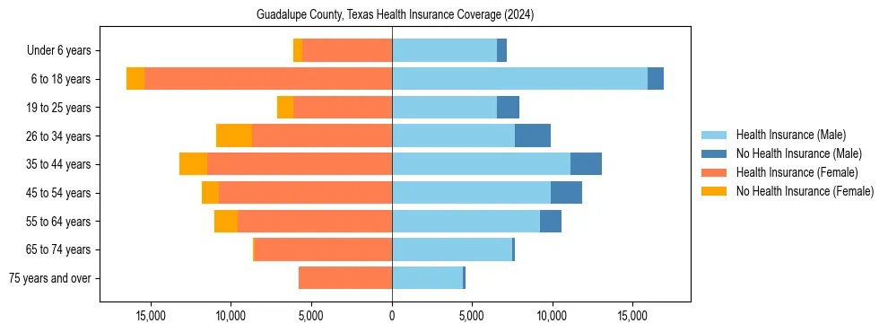 Health insurance pyramid for Guadalupe County, Texas