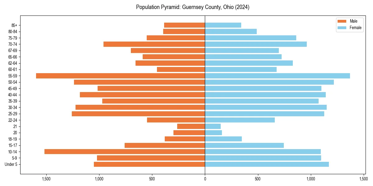 Population pyramid for 