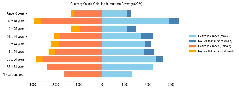 Health insurance pyramid for Guernsey County, Ohio