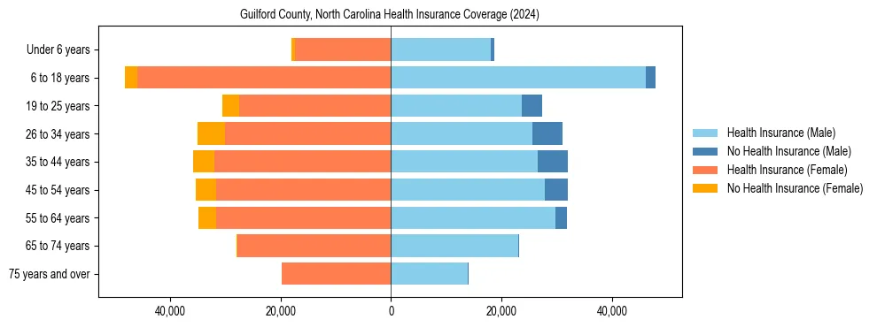 Health insurance pyramid for Guilford County, North Carolina
