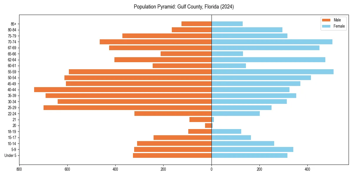 Population pyramid for 