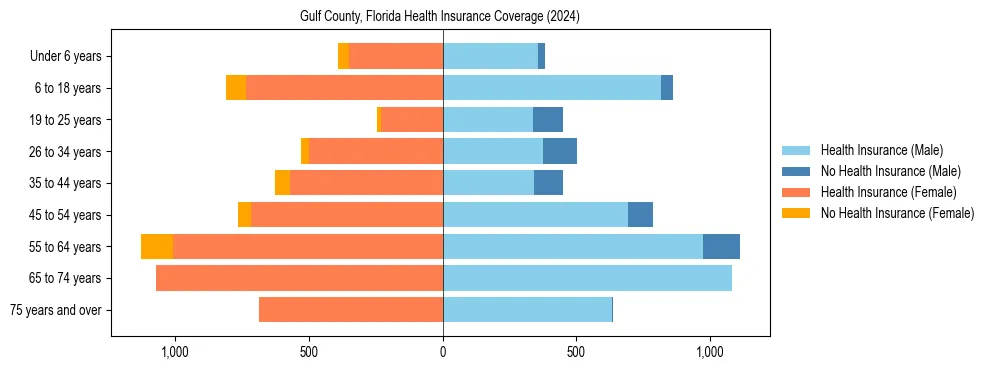 Health insurance pyramid for Gulf County, Florida