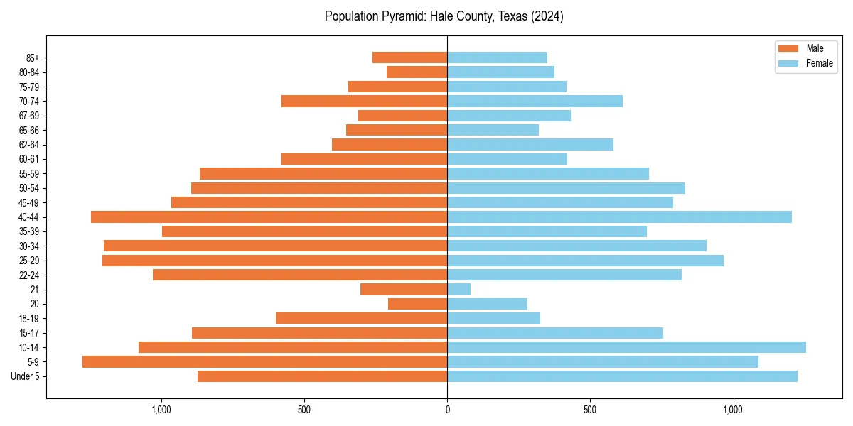Population pyramid for 