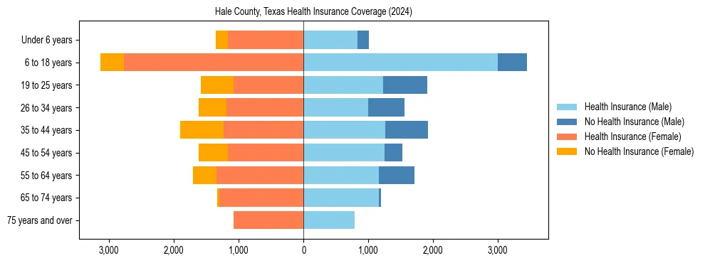 Health insurance pyramid for Hale County, Texas